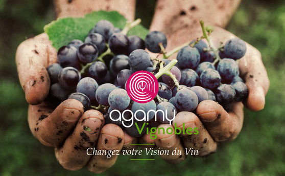 Agamy-Vignoble-engages_temoignage Agamy vignerons engagés