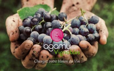 AGAMY | VIGNERONS ENGAGES